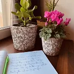 Bed & Breakfast Prachtig Allemachtig Valkenburg aan de Geul