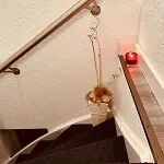 Prachtig Allemachtig Bed & Breakfast