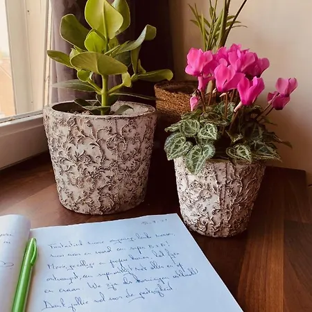 Couette-café Prachtig Allemachtig Valkenburg aan de Geul