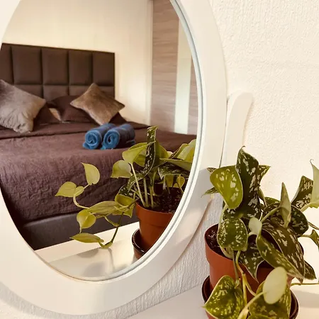 Bed & Breakfast Prachtig Allemachtig Valkenburg aan de Geul