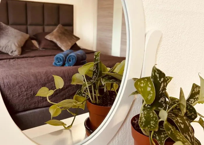 住宿加早餐酒店 Prachtig Allemachtig 法尔肯堡