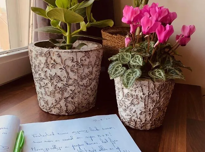 Bed and Breakfast Prachtig Allemachtig Valkenburg aan de Geul